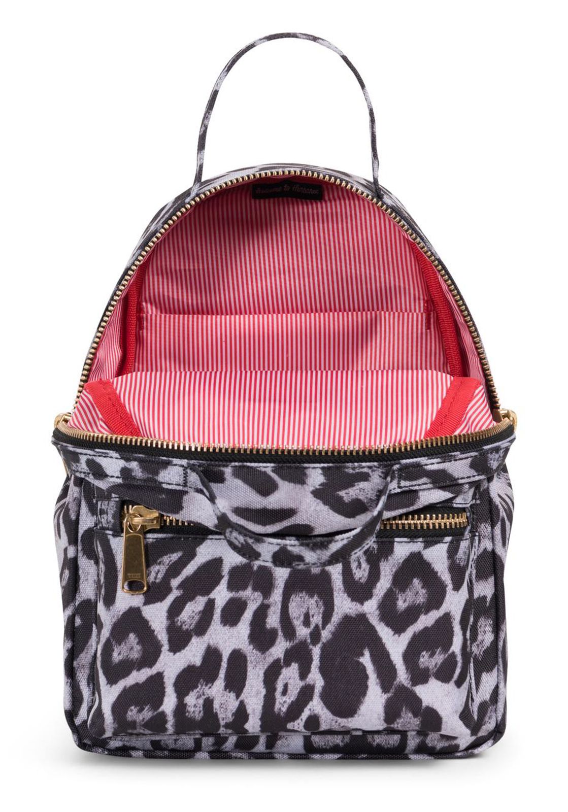 north face snow leopard backpack