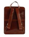 THE BRIDGE Story Uomo Backpack Marrone