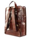 THE BRIDGE Story Uomo Backpack Marrone