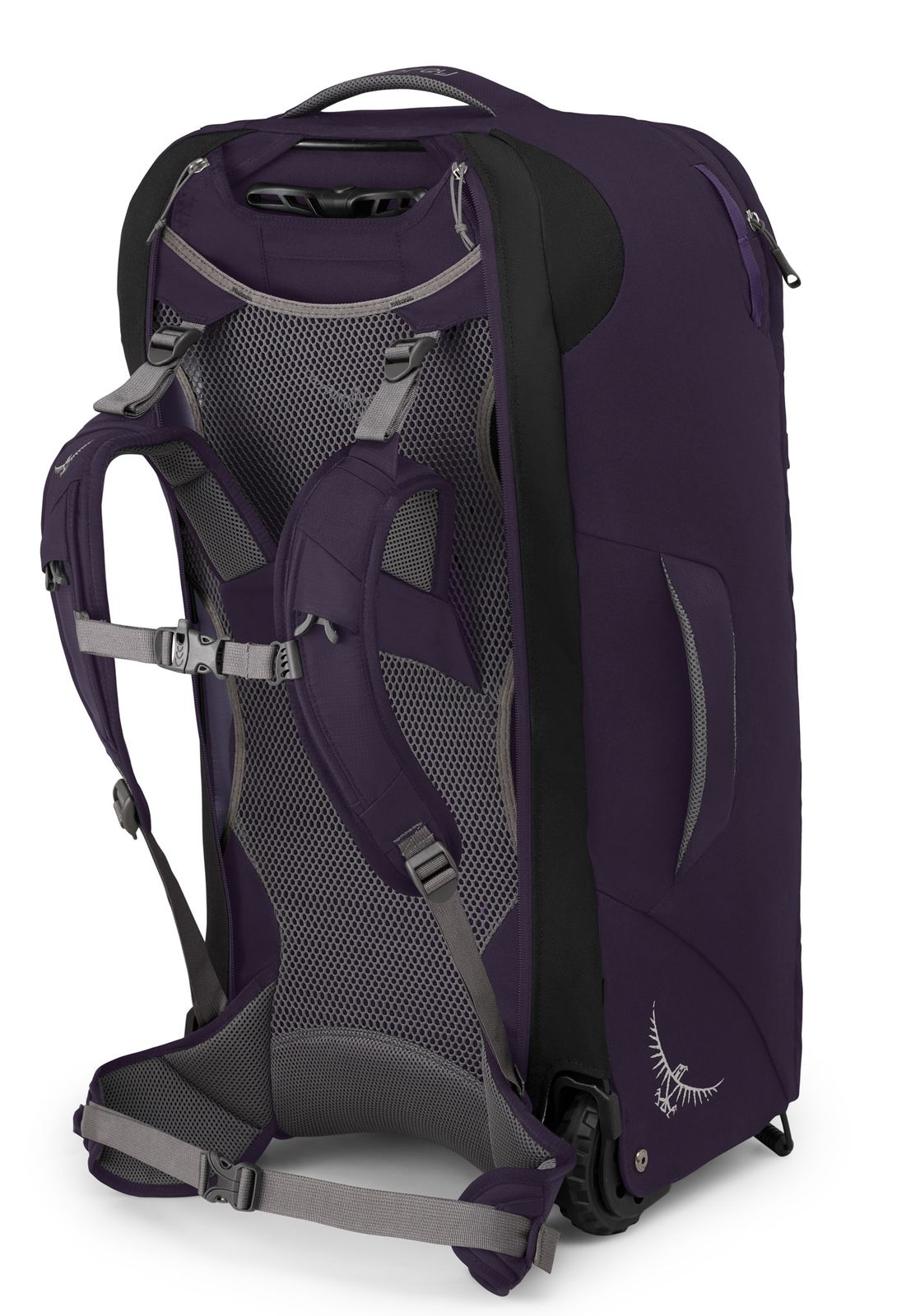 osprey fairview wheels 65