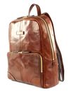 THE BRIDGE Vespucci Backpack Marrone TB 14