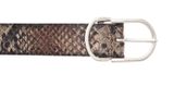 Vanzetti Animal Scouting 30mm Belt W80 Dark Brown / Multi