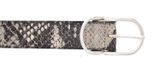 Vanzetti Animal Scouting 30mm Belt W75 Mouse Grey / Multi