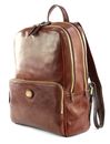 THE BRIDGE Story Uomo Backpack Marrone