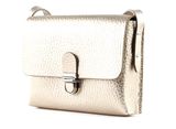 Vanzetti Glitter Radiance Horizontal Crossbody Bag Metallic Gold