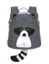 Racoon