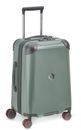 DELSEY PARIS Cactus 4 Double Rolls Cabin Trolley 55 Khaki
