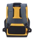 DELSEY PARIS Securflap Backpack Yellow