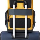 DELSEY PARIS Securflap Backpack Yellow