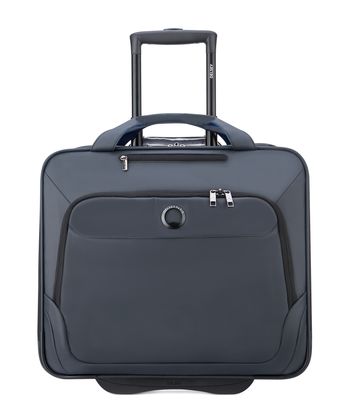 DELSEY PARIS Parvis Plus Waterproof 2 Rolls Trolley Boardcase Grey