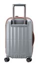 DELSEY PARIS Carrousel Expandable 4 Double Rolls Cabine Trolley 55 Platin DELSEY PARIS Carrousel Expandable 4 Double Rolls Cabine Trolley 55 Platin