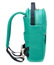 DELSEY PARIS Securstyle Backpack Mint