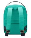 DELSEY PARIS Securstyle Backpack Mint