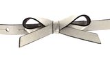 Vanzetti 15mm Belt W70 Platinumgold Metallic