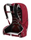Osprey Talon 22 L / XL Cosmic Red Osprey Talon 22 L / XL Cosmic Red