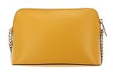 DKNY Bryant Sutton Dome Crossbody Bag Dandelion