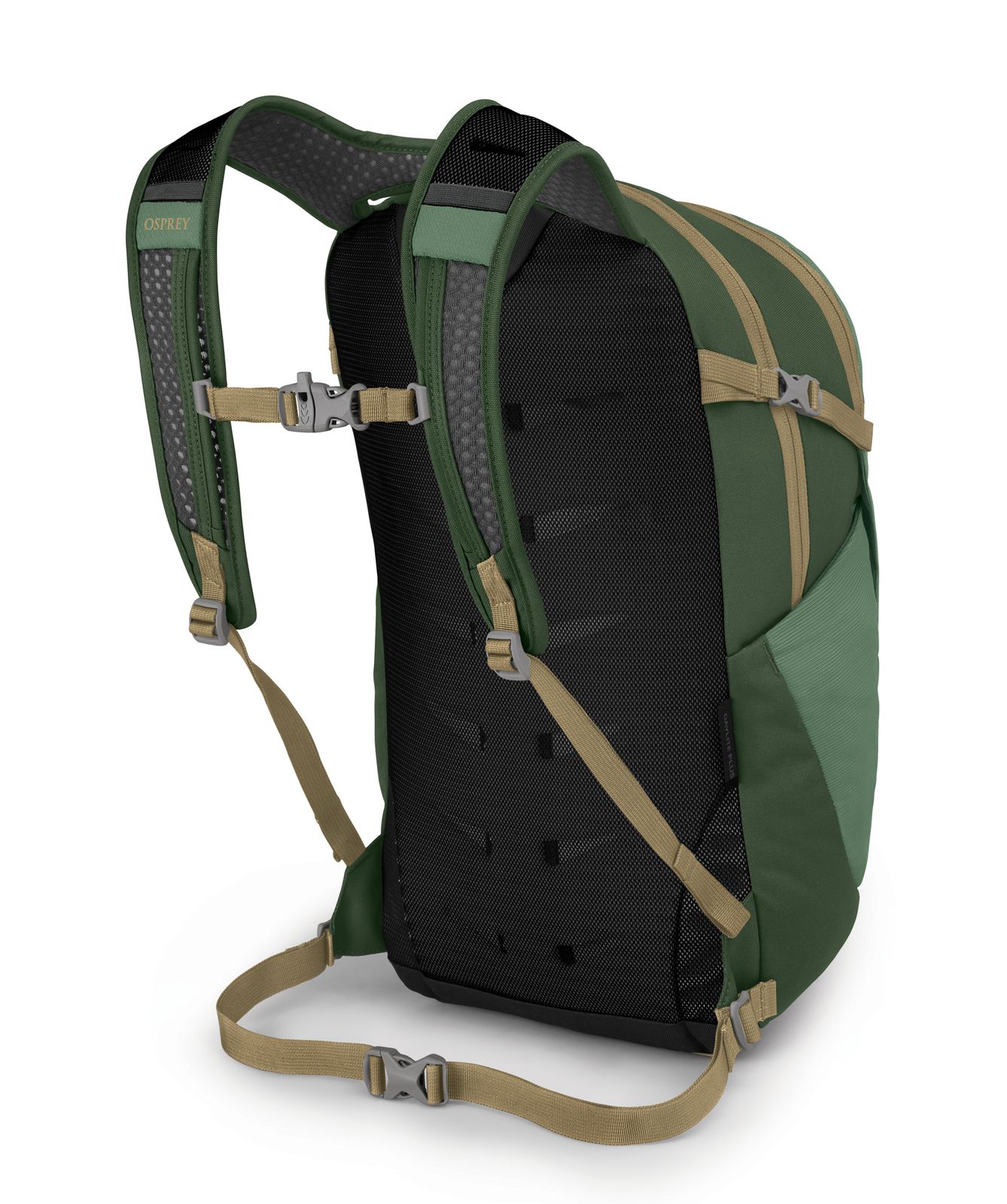 osprey daylite green