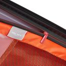 DELSEY PARIS Cactus 4 Double Rolls Cabin Trolley 55 Gradient Blanc