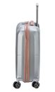 DELSEY PARIS Carrousel 4 Double Rolls Cabine Slim Trolley 55 Platin