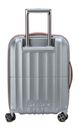 DELSEY PARIS Carrousel 4 Double Rolls Cabine Slim Trolley 55 Platin
