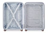 DELSEY PARIS Shadow 5.0 4DR Expandable Trolley 75 Platin