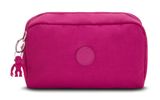 Pink Fuchsia