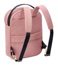DELSEY PARIS Securstyle Backpack Ash Rose DELSEY PARIS Securstyle Backpack Ash Rose