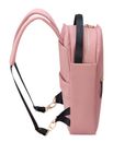 DELSEY PARIS Securstyle Backpack Ash Rose DELSEY PARIS Securstyle Backpack Ash Rose
