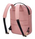 DELSEY PARIS Securstyle Backpack Ash Rose DELSEY PARIS Securstyle Backpack Ash Rose