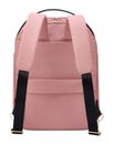 DELSEY PARIS Securstyle Backpack Ash Rose DELSEY PARIS Securstyle Backpack Ash Rose