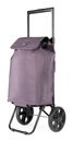 EPIC CityXShopping Trolley Evolution Plus Shopping Trolley 42 / 46 L Sparrow Grey