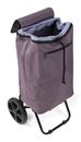 EPIC CityXShopping Trolley Evolution Plus Shopping Trolley 42 / 46 L Sparrow Grey