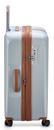 DELSEY PARIS Promenade Hard 2.0 4 DR Trolley 76 L Silver DELSEY PARIS Promenade Hard 2.0 4 DR Trolley 76 L Silver