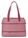 DELSEY PARIS Chatelet Air 2.0 Business Bag Pink