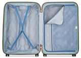 DELSEY PARIS Meteor 2.0 (Freestyle) 4 Double Rolls Trolley 76 Almond