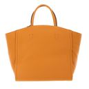 COCCINELLE Narcisse Handbag Resina