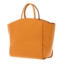 COCCINELLE Narcisse Handbag Resina