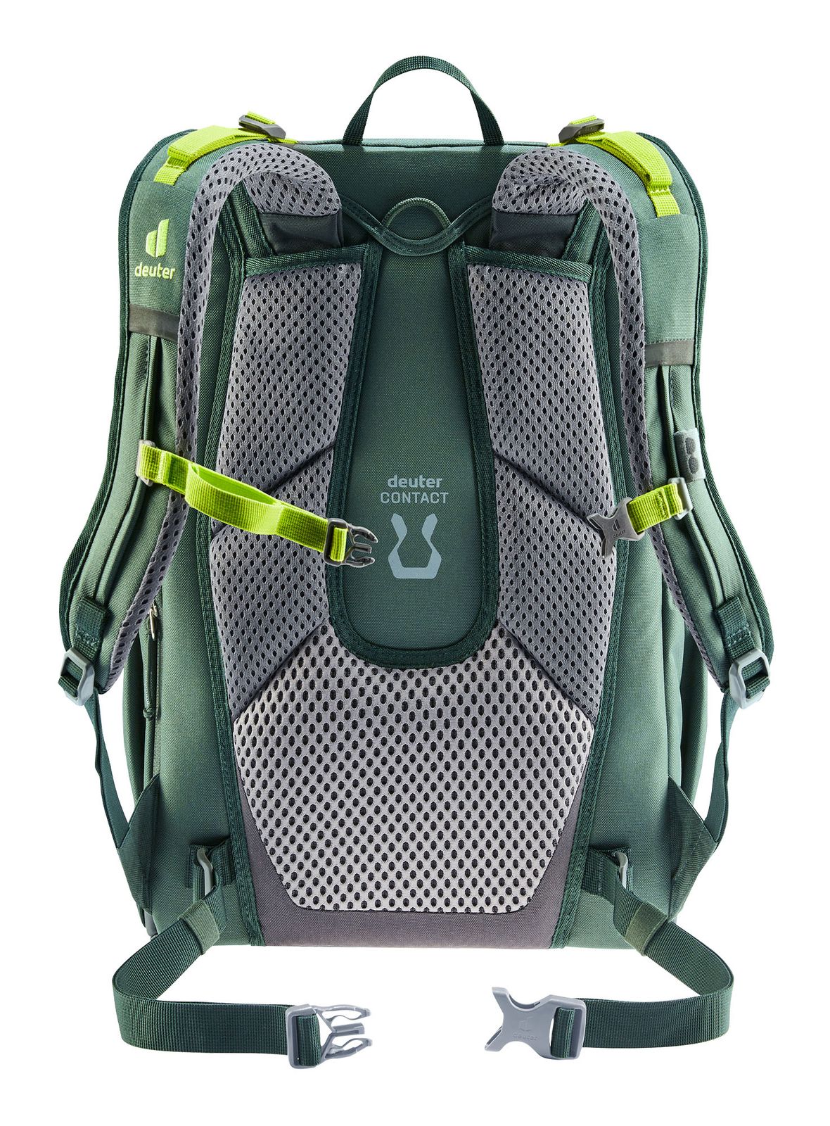 deuter backpack Cotogy Backpack Ivy Strokes Buy bags, purses