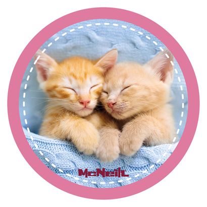 McNeill McAddy Katzenbabies