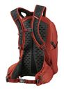 GREGORY Kiro 22 Backpack Brick Red