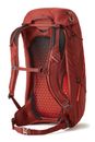 GREGORY Arrio 30 Backpack Brick Red