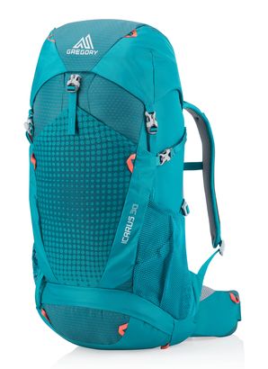 GREGORY Icarus 30 Backpack Capri Green