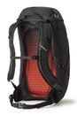 GREGORY Arrio 30 Backpack Flame Black