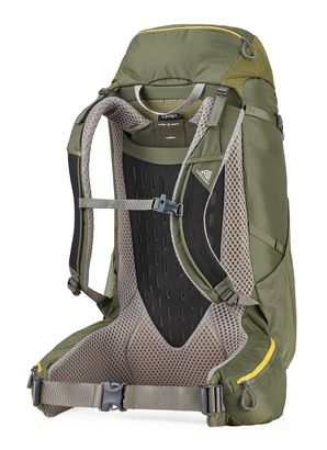 GREGORY backpack Stout 35 Backpack Fennel Green | Buy bags, purses