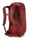 GREGORY Arrio 24 Backpack Brick Red