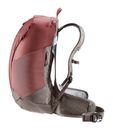 deuter AC Lite 21 SL Backpack Caspia - Pepper