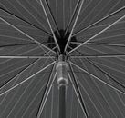 doppler Carbonsteel Long Automatic Tender Stripe doppler Carbonsteel Long Automatic Tender Stripe