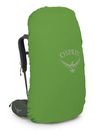 Osprey Kestrel 48 S / M Bonsai Green Osprey Kestrel 48 S / M Bonsai Green