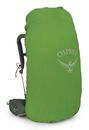Osprey Kestrel 58 L / XL Bonsai Green Osprey Kestrel 58 L / XL Bonsai Green
