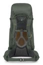 Osprey Kestrel 58 L / XL Bonsai Green Osprey Kestrel 58 L / XL Bonsai Green